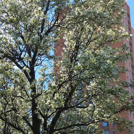 Torre Sole Fiumara ジェノヴァ