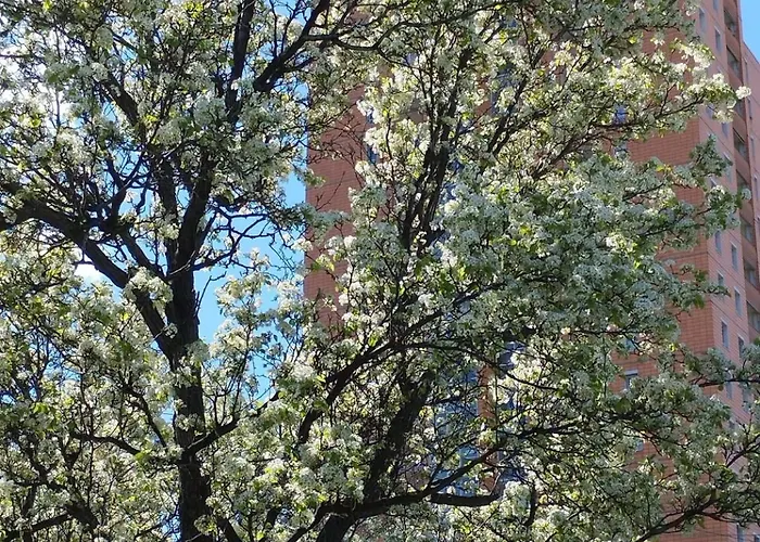 Torre Sole Fiumara Genua